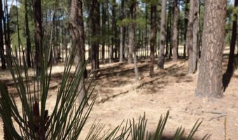 8 B County Road 2267 Escudilla Rd, Alpine, AZ 85920