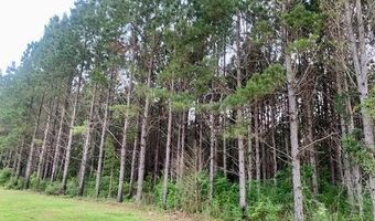 2304 Traci Loop SW, Bogue Chitto, MS 39629