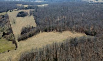 Rr 1 Box 6548, Ava, MO 65608