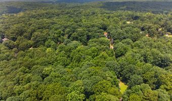 1322 Center Dr, Auburn, GA 30011