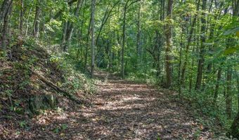 10 Beaverbrook Ct, Asheville, NC 28804