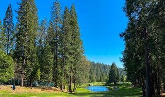 3285 Pocatello Cir, Camp Connell, CA 95223