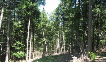 1260 Valentine Pond Rd, Adirondack, NY 12808