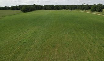 Tract 1 0000 Private Road 1184, Aurora, MO 65605