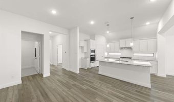717 Clifton Dr, Anna, TX 75409