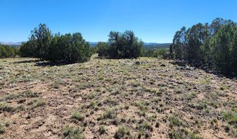 85 N 8522, Concho, AZ 85924