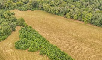 0 SEATON, Adamsville, TN 38310