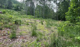 Pumpkin Patch Road, Bakersville, NC 28705