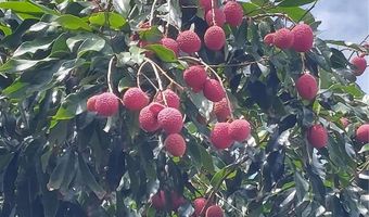 116 RAINTREE Ct, Auburndale, FL 33823