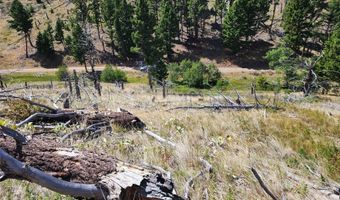 Nhn Plaindealer Lode Depot Hill Road, Boulder, MT 59632