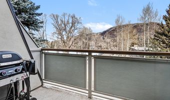 100 E Dean St 3C, Aspen, CO 81611