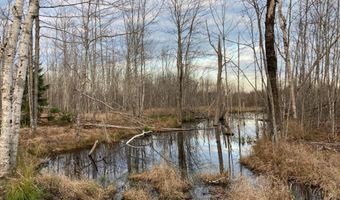 W McMann & Meadow Roads lot 13-1, Addison, ME 04606