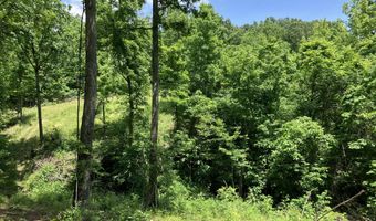 000 State Highway U, Ava, MO 65608