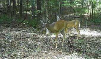 590 247 Country Rd, Bruce, MS 38915