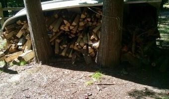 3855 El Cajan Rd, Alpena, MI 49707
