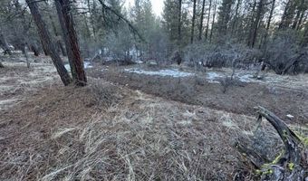 Bobcat Circle, Beatty, OR 97621