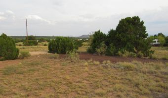 70 County Road 5054, Concho, AZ 85924