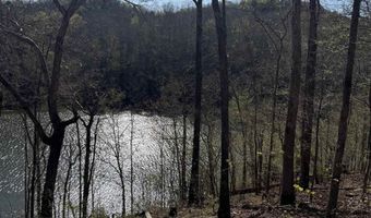 County Road 3782 lot 11, Arley, AL 35541