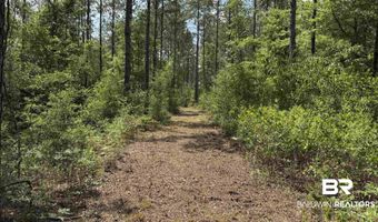 Ronald Sanks Road, Bay Minette, AL 36507
