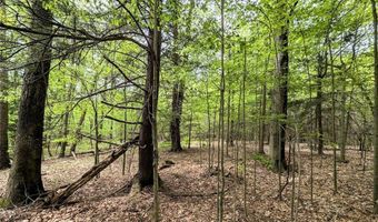 Stewart Road, Addison, NY 14801