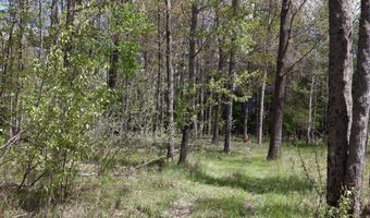 5826 S Morrison Rd, Alger, MI 48610