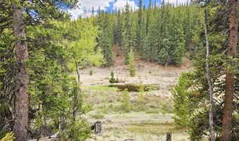 700 Looney Ln Lot 0, Alma, CO 80420
