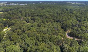 1008 HERON Ct, Lewes, DE 19958