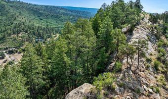 554 Pine Spring Dr, Bayfield, CO 81122