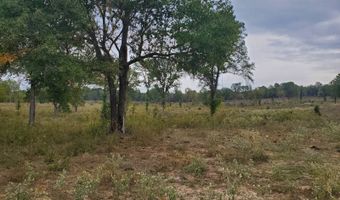 195708 US HWY 271, Antlers, OK 74523