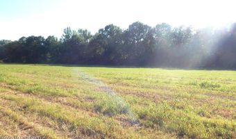 County Road 247, Bruce, MS 38915