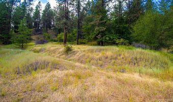 0 Whitetail Dr, Ahsahka, ID 83520