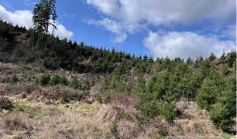 Northrup Creek Rd, Birkenfeld, OR 97016