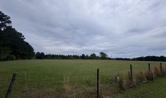 167 E W Morgan, Arcadia, LA 71001