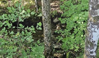 1230 Pinkham Rd, Burke, VT 05832