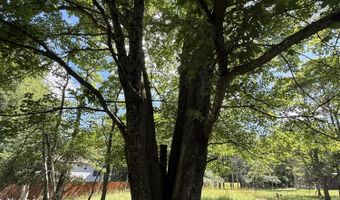 Overlook Terr 621, Albrightsville, PA 18210
