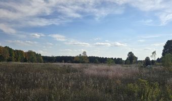 303 Westwood Rd NW, Alden, MI 49612