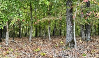 90 Mitchell Rd, Batesville, AR 72501