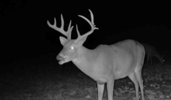 1037 Cr 300, Big Creek, MS 38914