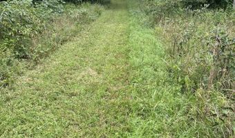 County Road P-305, Ava, MO 65608