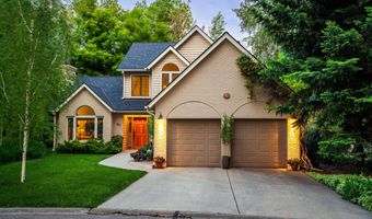 90 River Cv, Basalt, CO 81621