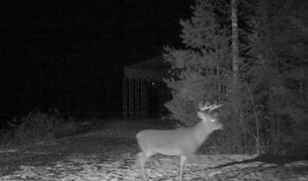 22 Monument Rd, Abbot, ME 04406