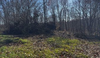 0 W Captina Highway Rd, Alledonia, OH 43902