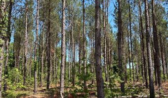 000 Bounty Acres Rd W, Bennettsville, SC 29512