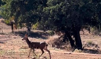23471 Japatul Valley Rd, Alpine, CA 91901