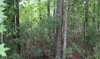 Alberson Road, Ashburn, GA 31714