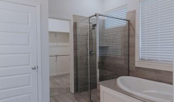 989 Sprangletop St, Allen, TX 75013