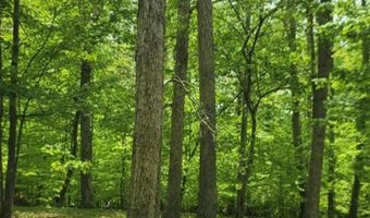 Barnes Road, Bardstown, KY 40004