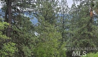 1510 Summitview Driave, Ahsahka, ID 83520