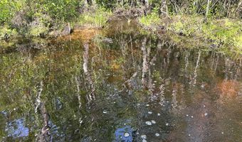 80 AC Old River Rd, Baker, FL 32531