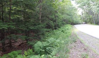 Pine Cliff Road, Alstead, NH 03602